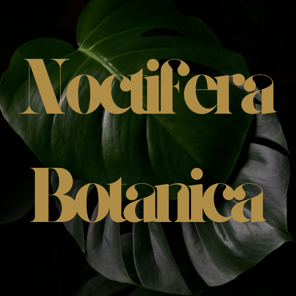 Noctifera Botanica